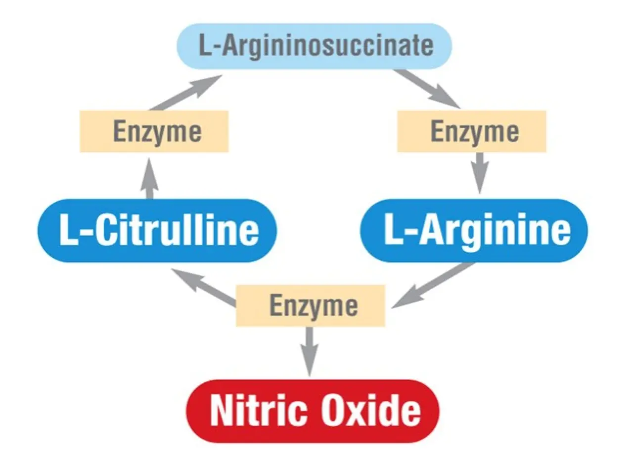 Nitric Oxide afb 1